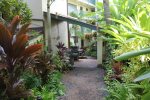 Lush tropical foliage on the property